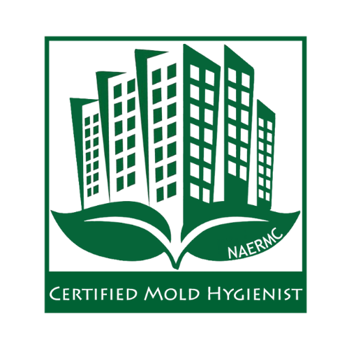 Licensed Mold Remediation Orlando Florida