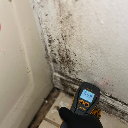 Licensed Mold Remediation Orlando Florida