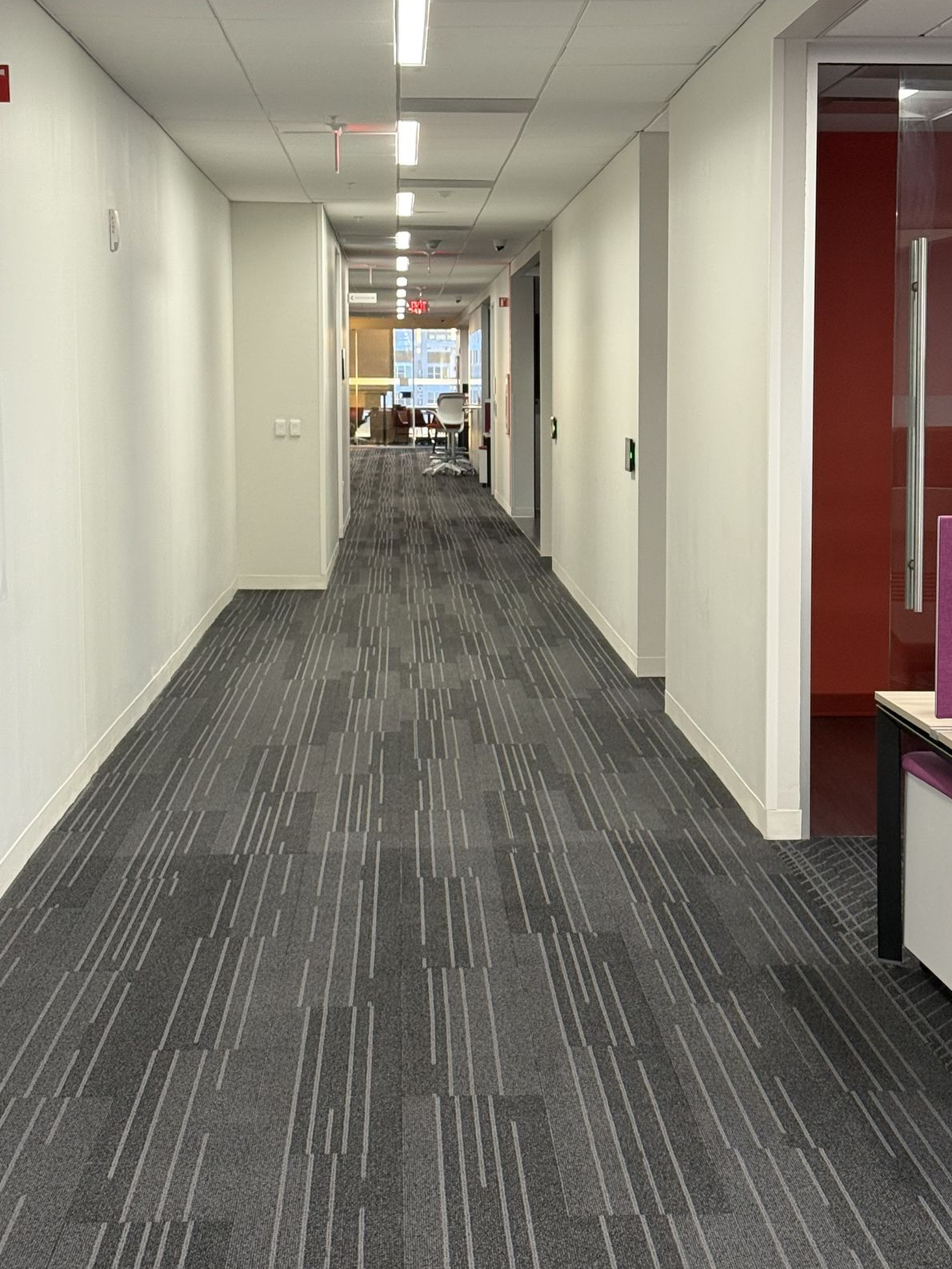 Commercial Carpet Cleaning Orlando Florida