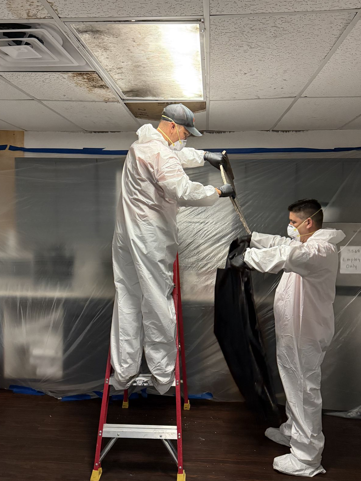 Mold Removal Central Florida