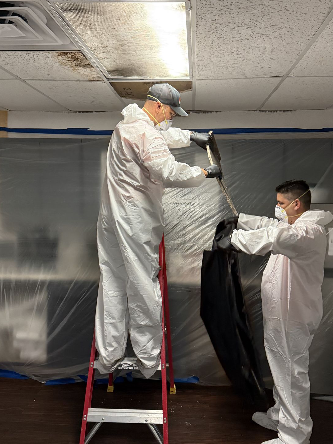 Facility Mold Remediation Orlando Florida